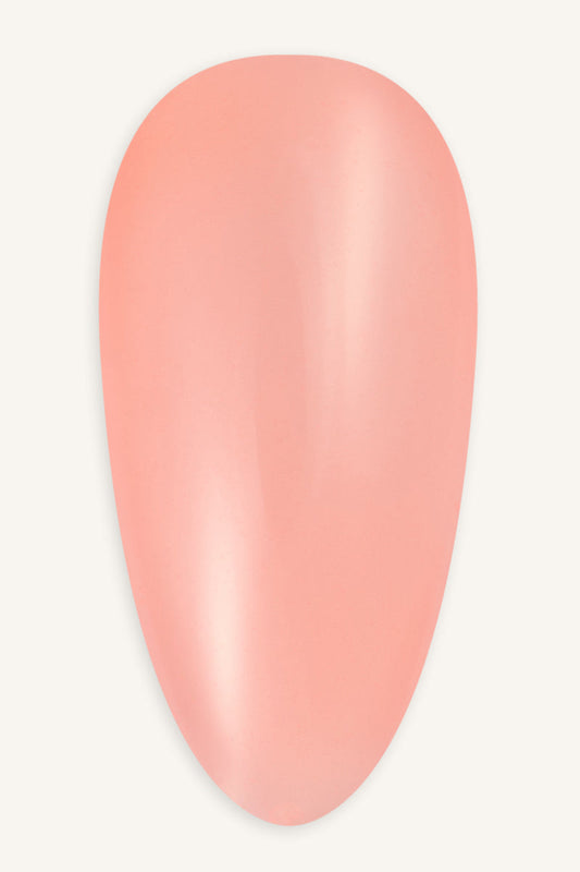 Coral · 211