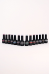 Musthave Color Pack