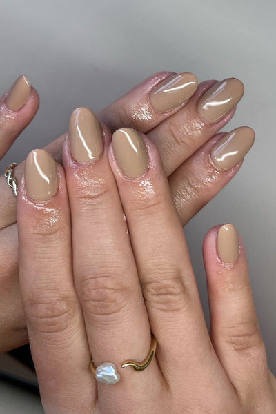 Hazelnut  · 247 - Hand