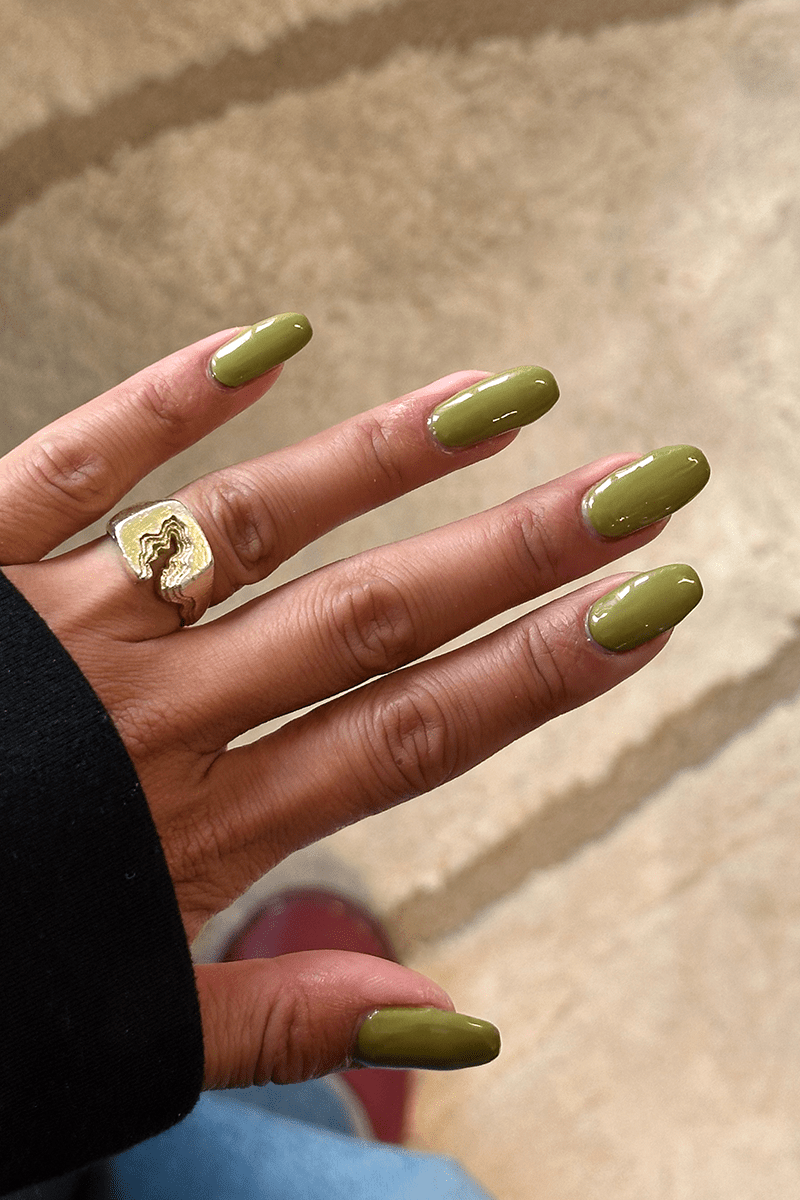 Olive · 486