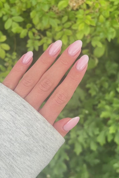 Early Bird  · 287 - Color